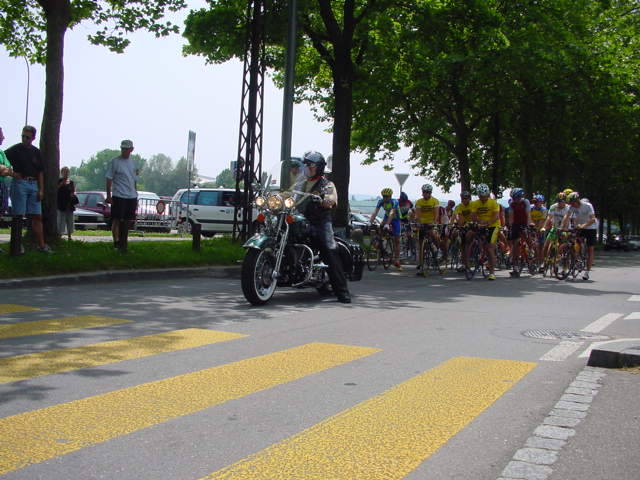 d037.jpg