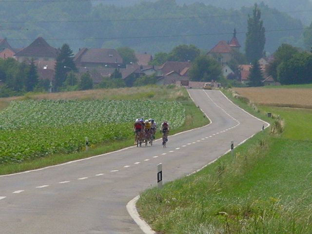 d047.jpg