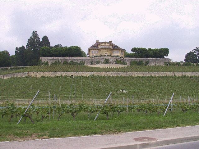 g07.jpg