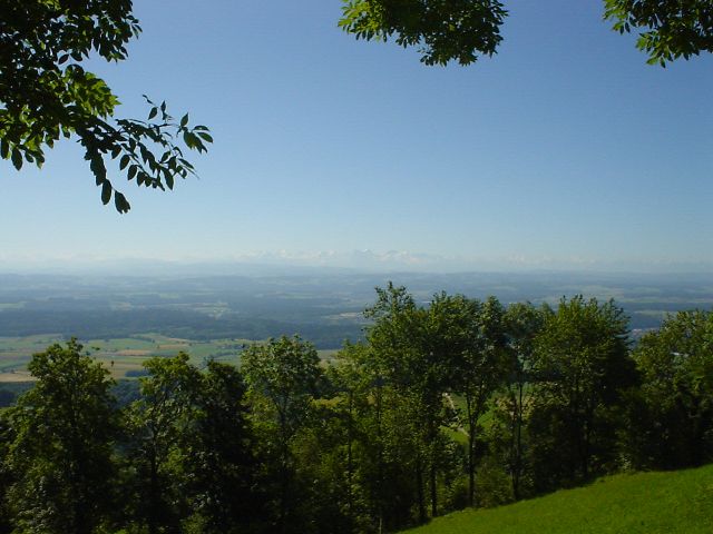 g165.jpg